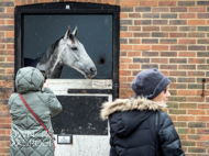 WG210423-95 - Warren Greatrex Stable Visit